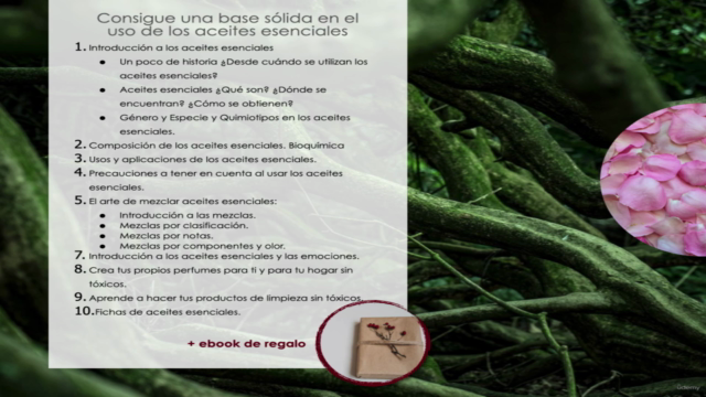 Consigue una base sólida en el uso de los aceites esenciales – Screenshot 1