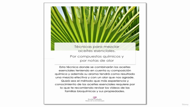 Consigue una base sólida en el uso de los aceites esenciales – Screenshot 3