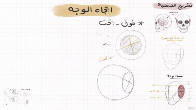 تعليم تشريح الوجه لرسم البورتريه - master portrait anatomy – Screenshot 1