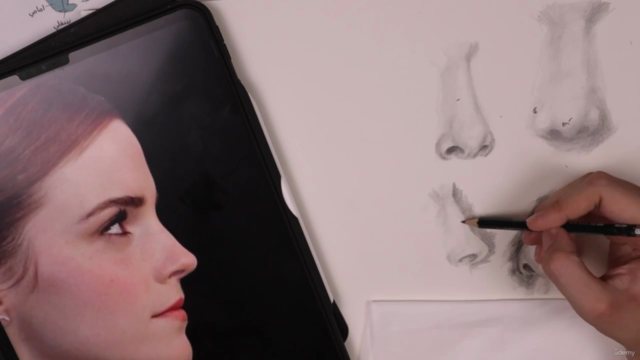 تعليم تشريح الوجه لرسم البورتريه - master portrait anatomy – Screenshot 3