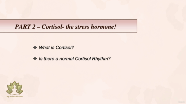 Stress Management Part 1: How is Stress making you sick? – Screenshot 3