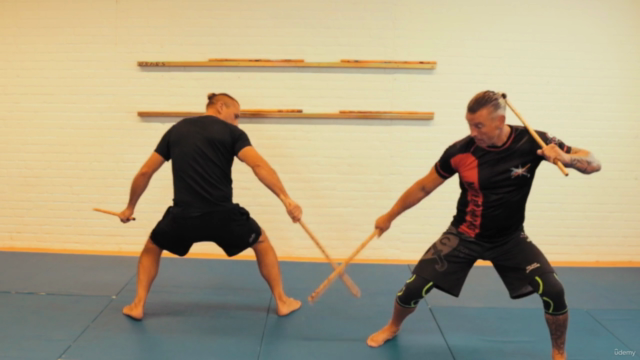 Basic Stick fighting - Single stick drills for two – Screenshot 3
