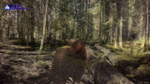 Krafttier-Rückholung für deinen Freund/deine Freundin – Screenshot 2