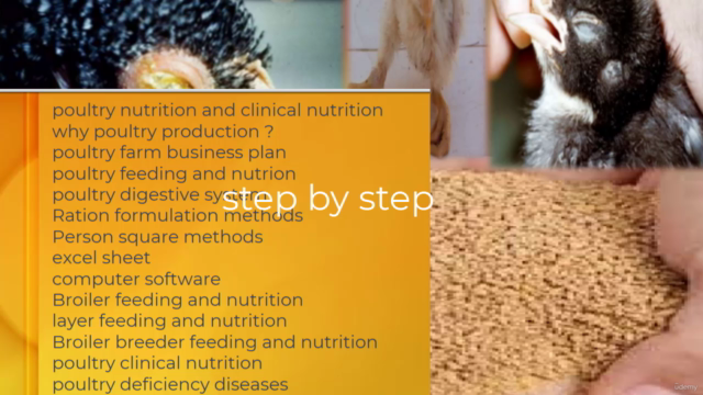 poultry farming nutrition and clinical nutrition stepby step - Screenshot_03
