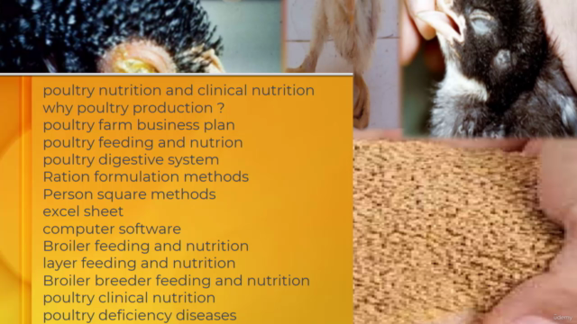 poultry farming nutrition and clinical nutrition stepby step - Screenshot_04