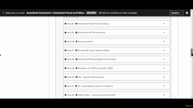 Assistente Financeiro + Assistente Fiscal na Prática – Screenshot 2
