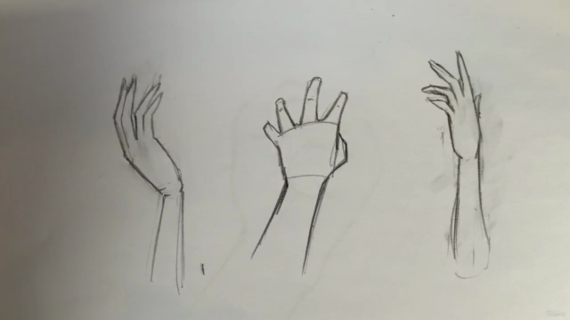 DESSIN ANATOMIQUE: Savoir dessiner les MAINS – Screenshot 1