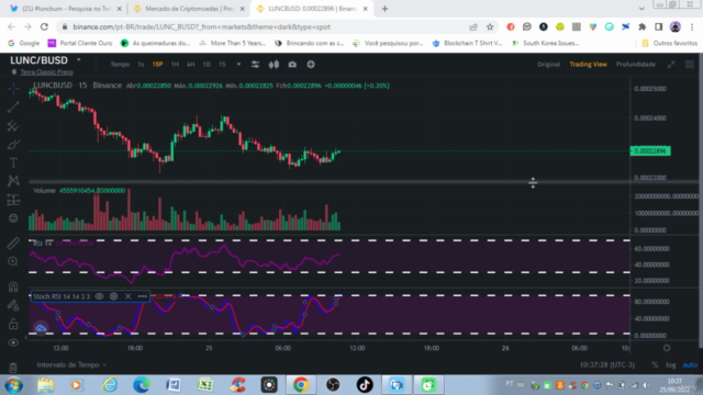 Curso Day Trade Swing Trade Hold Binance Criptomoedas 2024 – Screenshot 1
