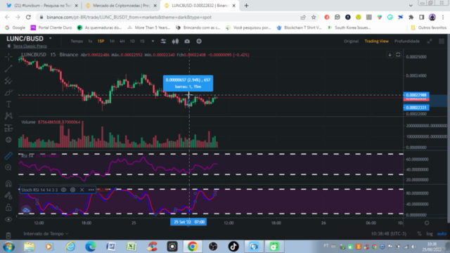 Curso Day Trade Swing Trade Hold Binance Criptomoedas 2024 – Screenshot 2