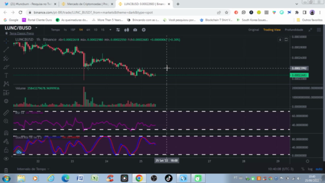Curso Day Trade Swing Trade Hold Binance Criptomoedas 2024 – Screenshot 3