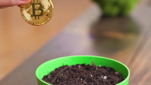 Cryptocurrency Investing Guide : 2024-2025 – Screenshot 1