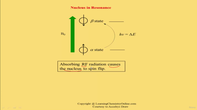 Introductory Organic Chemistry Spectroscopy – Screenshot 3