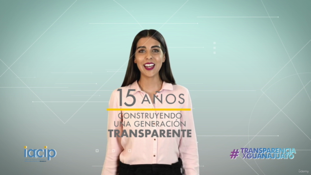 Atención a las Solicitudes de Información – Screenshot 4