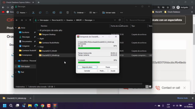 Curso de Base de Datos Oracle Database – Screenshot 3
