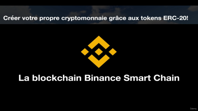 Créer une cryptomonnaie sur Binance Smart Chain – Screenshot 3