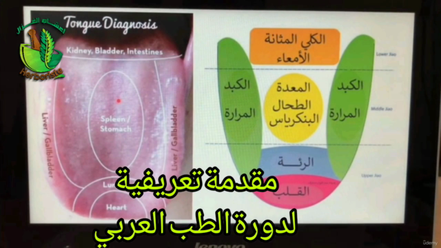 Medicina greco-araba ed erboristeria الطب العربي القديم – Screenshot 1