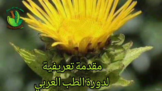 Medicina greco-araba ed erboristeria الطب العربي القديم – Screenshot 2