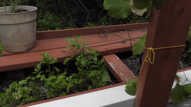 DIY Gardening Projects: Build a Better Home Garden – Screenshot 3