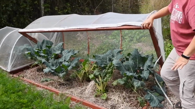 DIY Gardening Projects: Build a Better Home Garden – Screenshot 4