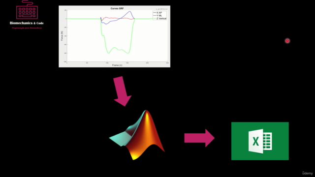 Biomecânica e MATLAB – Screenshot 2
