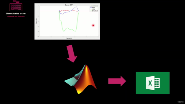 Biomecânica e MATLAB – Screenshot 3