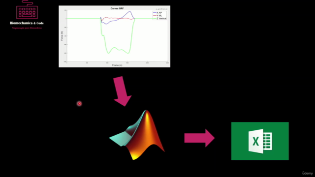 Biomecânica e MATLAB – Screenshot 4