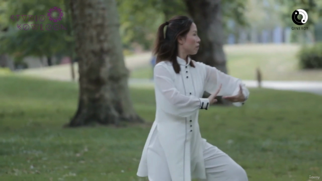 Tai Chi Qigong Shibashi Set 2 (Tutorial and follow along) – Screenshot 1