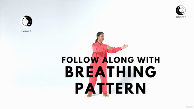 Tai Chi Qigong Shibashi Set 2 (Tutorial and follow along) – Screenshot 4