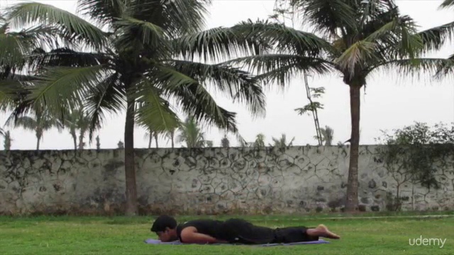 Yoga basics : 24 day course – Screenshot 4