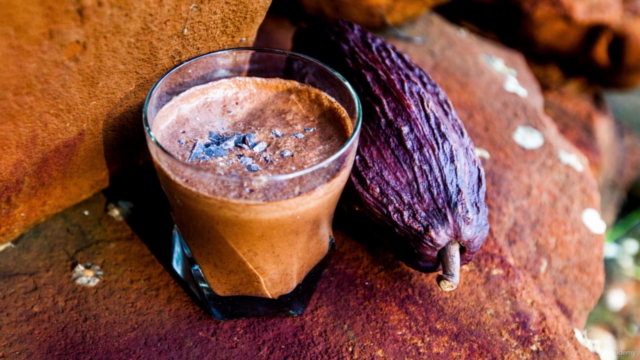 Introduction To Sacred Cacao Facilitation [Accredited] – Screenshot 4