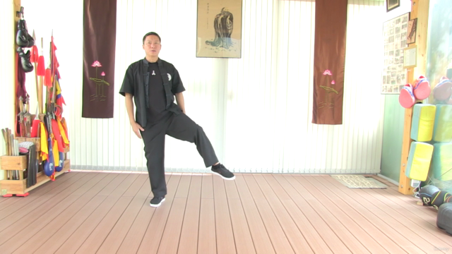 Tai chi Forms for Health and Self-defense for All Levels – Screenshot 1