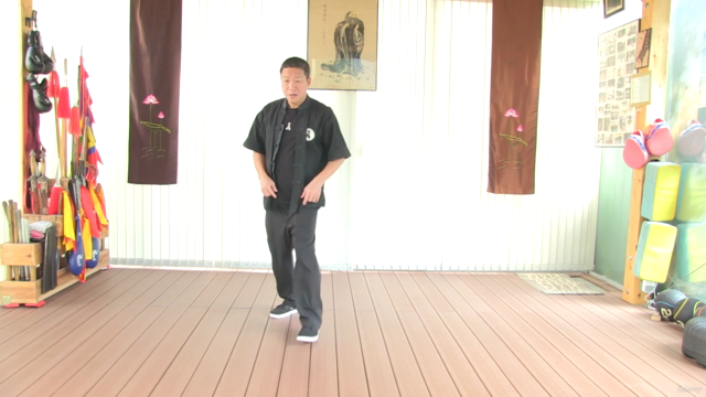 Tai chi Forms for Health and Self-defense for All Levels – Screenshot 2
