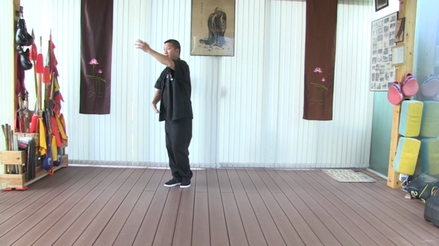 Tai chi Forms for Health and Self-defense for All Levels – Screenshot 3
