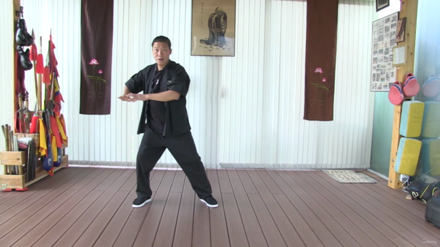 Tai chi Forms for Health and Self-defense for All Levels – Screenshot 4