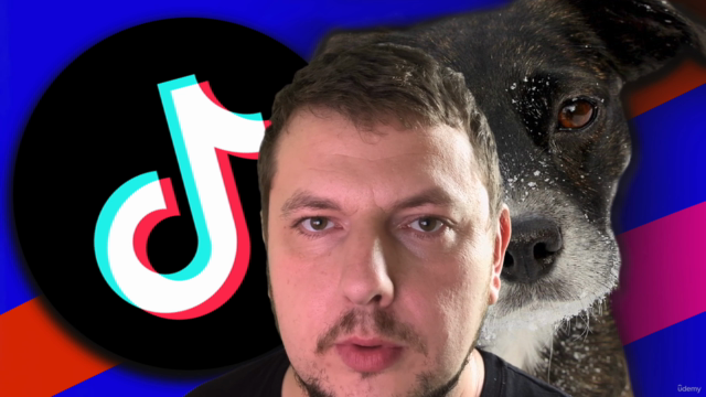 TikTok Effekte erstellen | Randomizer 2D – Screenshot 2