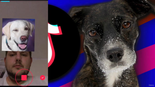 TikTok Effekte erstellen | Randomizer 2D – Screenshot 3