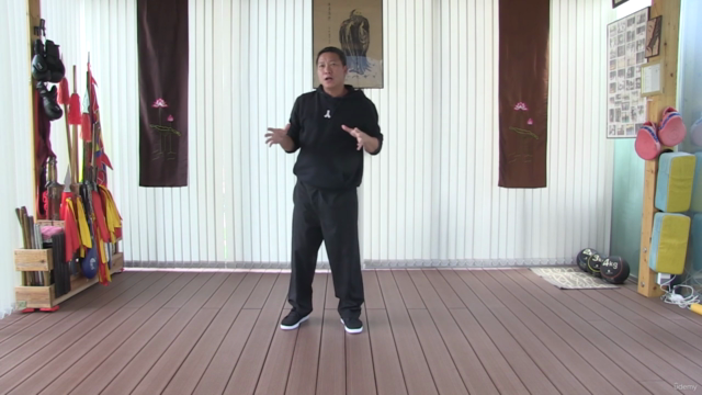 Special Kung Fu techniques for self-defense – Screenshot 3