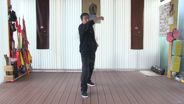 Special Kung Fu techniques for self-defense – Screenshot 4