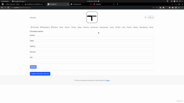 Desarrollo frontend con Angular (2025) – Screenshot 1