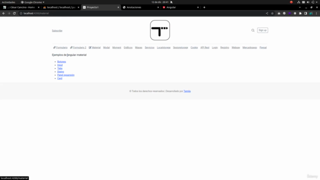 Desarrollo frontend con Angular (2025) – Screenshot 2