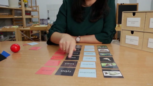 Kurs Montessori Język V - nauka gramatyki – Screenshot 2