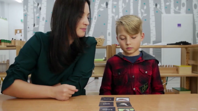 Kurs Montessori Język V - nauka gramatyki – Screenshot 3
