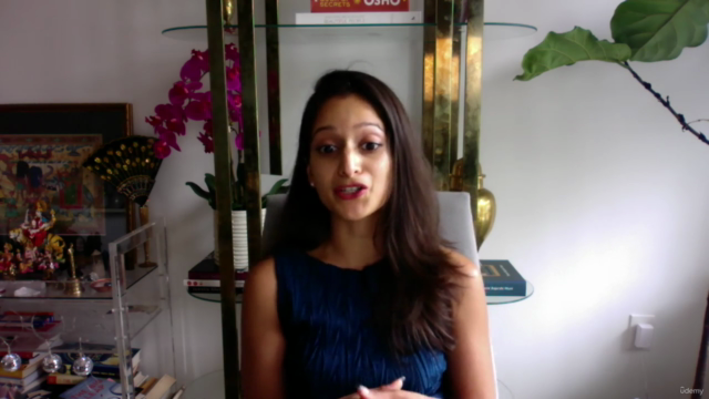 Holistic Wellness: Ayurveda Immersion 101 - Gut + Hormones – Screenshot 1