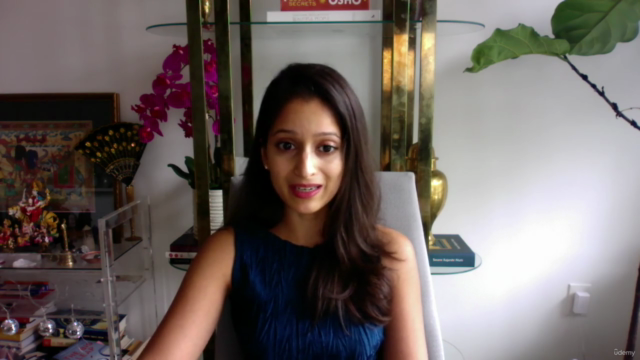 Holistic Wellness: Ayurveda Immersion 101 - Gut + Hormones – Screenshot 3
