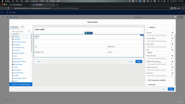 Complete Salesforce Certified Platform Developer 1 Course - Screenshot_02