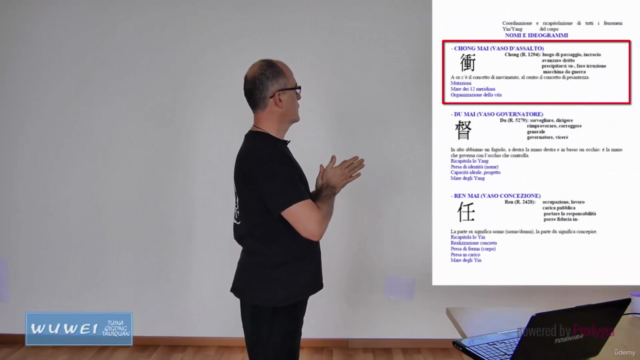 Gli Otto Meridiani Straordinari o Curiosi - Qí Jīng Bā Mài – Screenshot 1