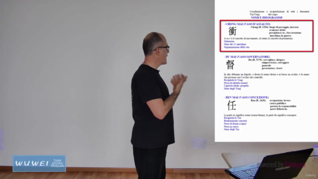Gli Otto Meridiani Straordinari o Curiosi - Qí Jīng Bā Mài – Screenshot 2