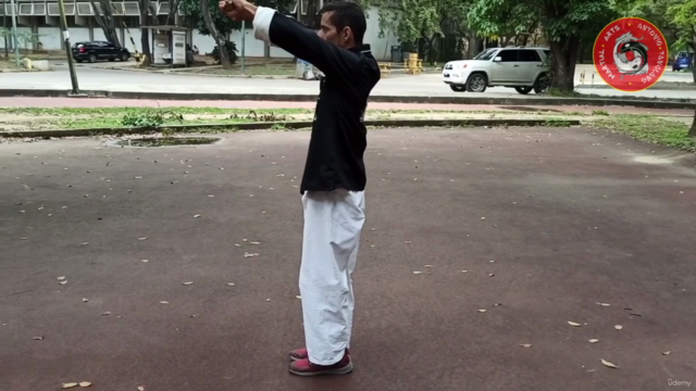 Kung Fu mantis Norteño Tang Lang Chuen Formas 6 y 7 – Screenshot 1