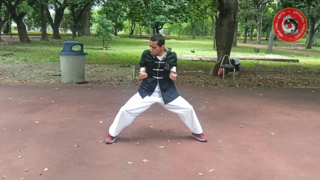 Kung Fu mantis Norteño Tang Lang Chuen Formas 6 y 7 – Screenshot 2