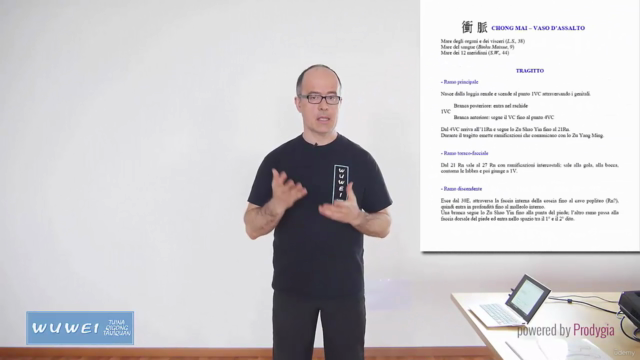 Chōng Mài 衝脈 e Dài Mài 帶脈 - Trattamento Tuīná 推拿 e Moxa – Screenshot 1
